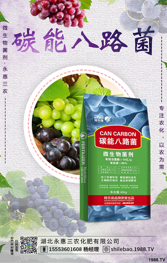 2020�괺��(ji��)���S�r���Ƿ��ϝq�����l(f��)�r�����Xһ����S�Nֲǰ����