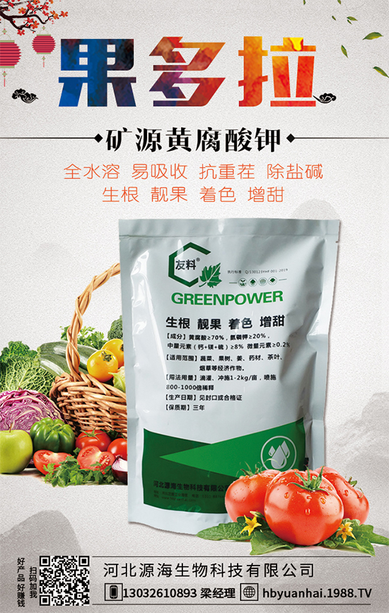 ������Ճr(ji��)������Xһ����2020�����Nֲǰ�������