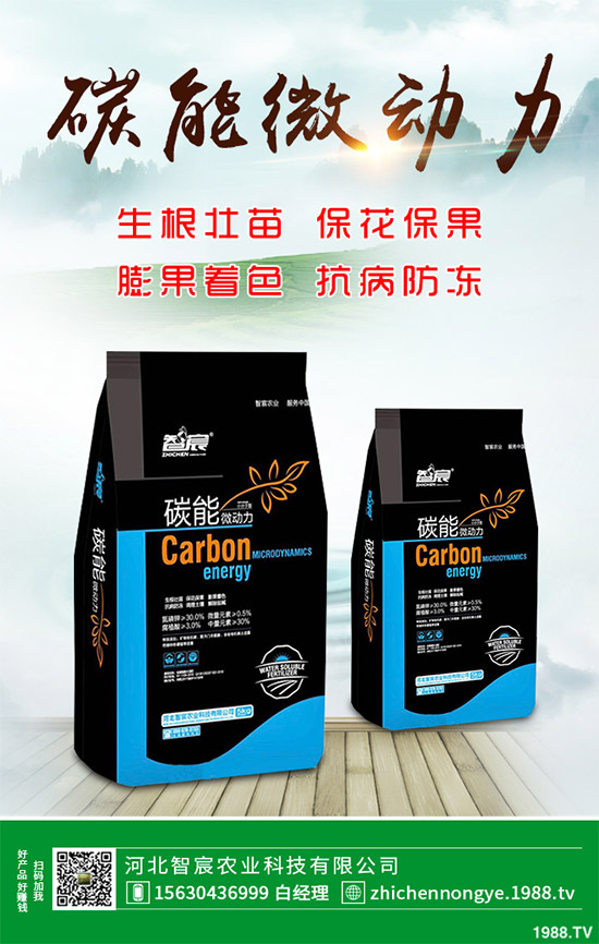 ħ��ԓ��ô�N��ħ��߮a(ch��n)�Nֲ��������