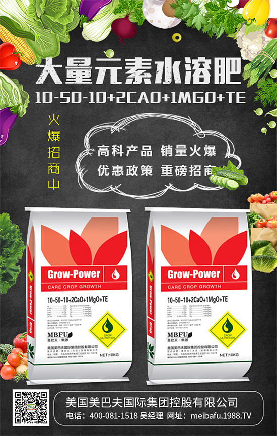 2020��Nֲʲô�߲˒��X(qi��n)����2020��Nֲʲô�߲�ǰ���ã�