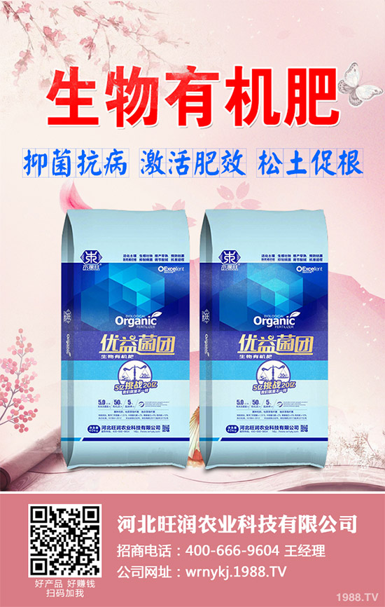 ����²�ԓ��ô�N����������²˷Nֲ���g(sh��)Ҫ�c