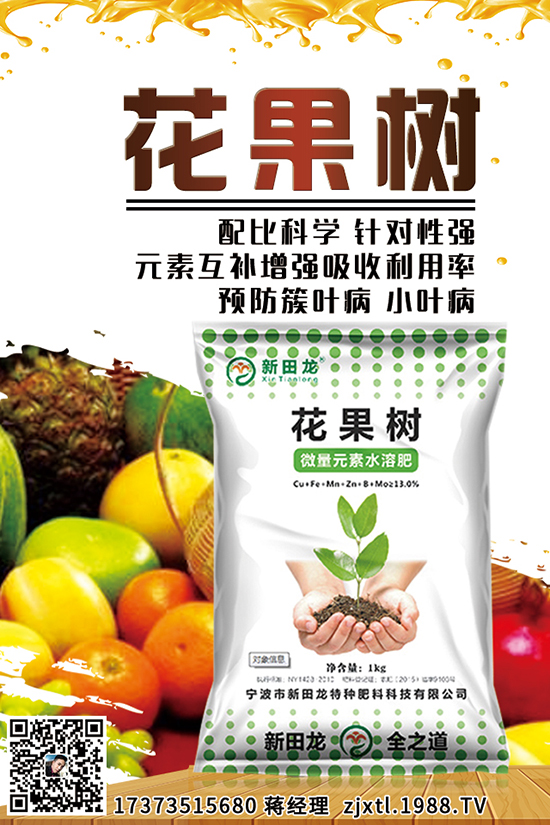 ���}������r(sh��)�g ���}�����缼�g(sh��)Ҫ�c(di��n)