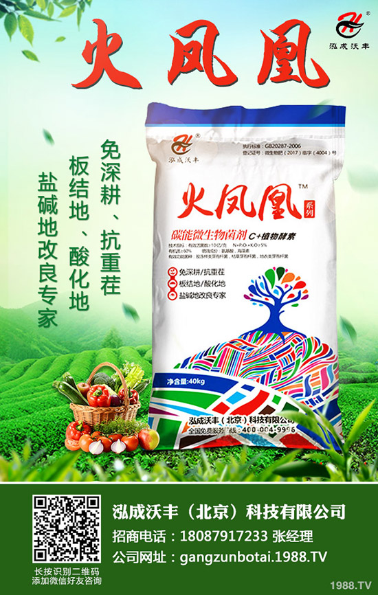     2020��Nֲ����ٍ�Xô��ǰ�����ӣ�һ������Ͷ�Y��Ч�������