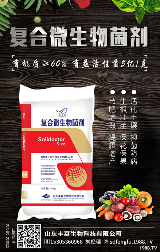 �P����������خa(ch��n)��2020��Nֲǰ�������