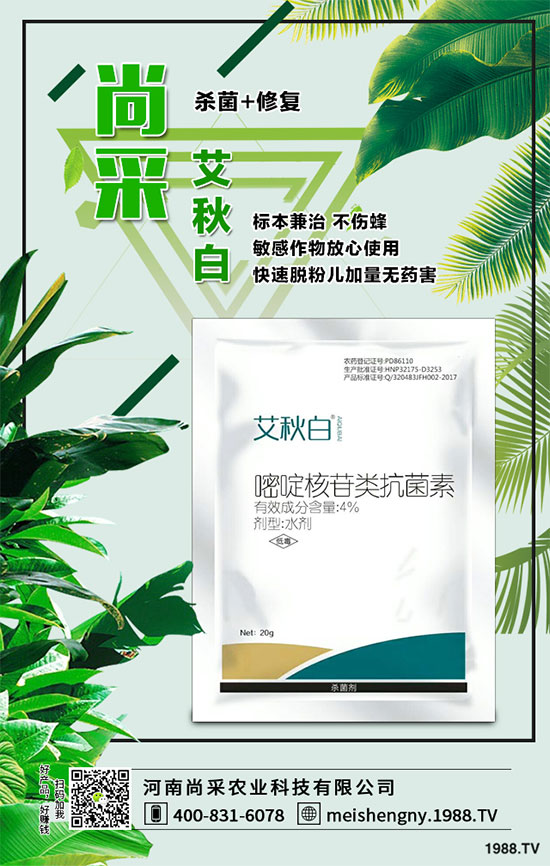 ����������ԭˎ�r���Ո�2019-12-13