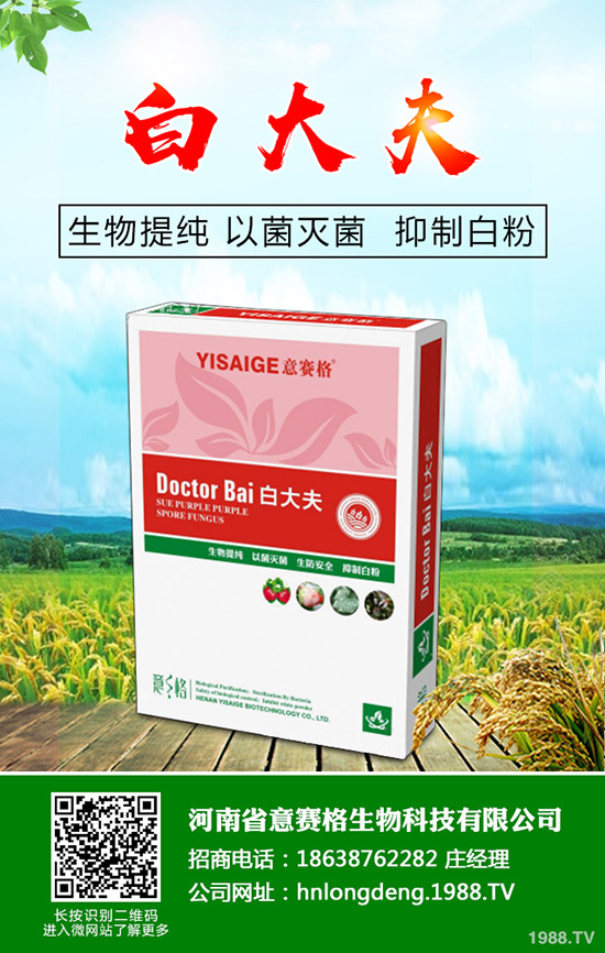 ���Ѷ���ʲô�r(sh��)���^�������Ѷ�����ʲô������