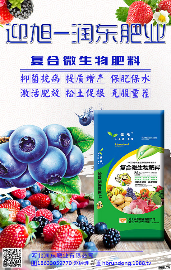 �������@�r�������߄ݼ������A(y��)�y2019.12.18