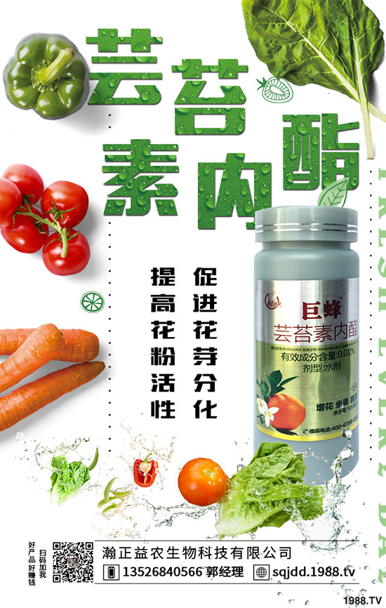 �����߲˲ɹ��ʵ�Σ���������ߴ����߲˲ɹ�����