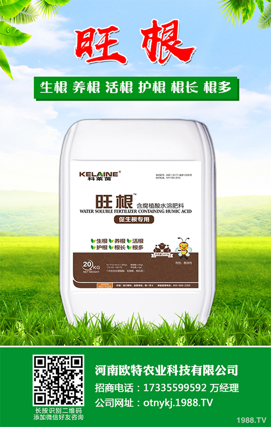 Ģ���Nֲ��Ҫʲô�l����Ģ���Nֲ�h(hu��n)��Ҫ��