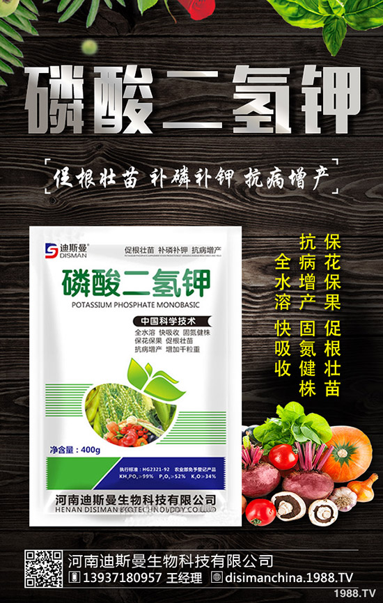 ������ô�Nֲ�������Nֲ�������ճ�����������