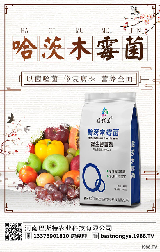 ����(ch��)���鼴������(d��ng)������⛷ʃr(ji��)�������A(y��)�y(c��)2019-12-20