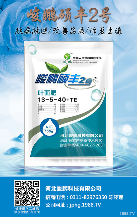 ����ʲô�r(sh��)��׷��������׷��ע��Ҫ�c(di��n)��