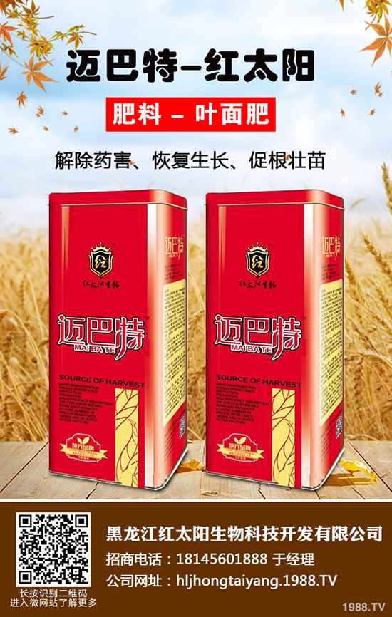 ⛷ʃr���ǝq�ǵ���2019-12-21����(n��i)����⛷ʃr���߄ݷ���