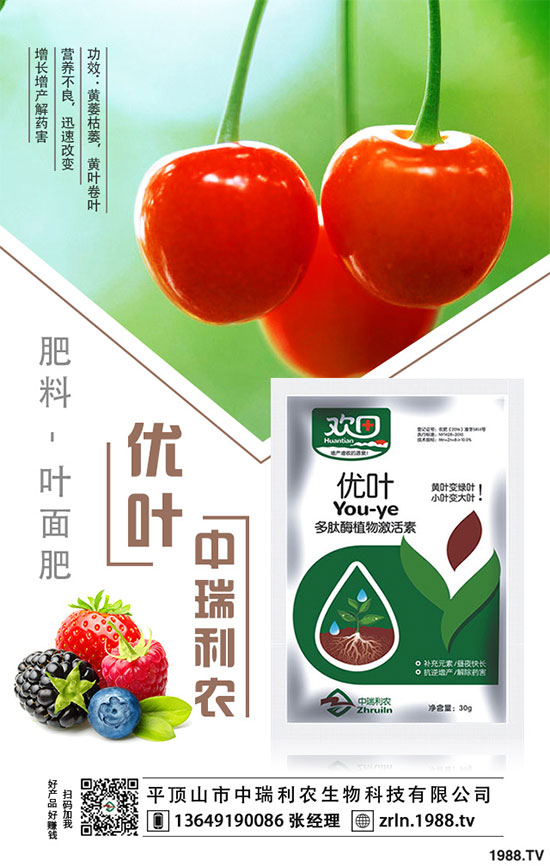 ��乽�����༼�g(sh��)����乽�ķNֲע�������