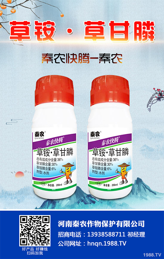 Prentiss������������(ch��ng)�s�ݳ��݄�Camp-D ��2��4-D�Ͱ��������