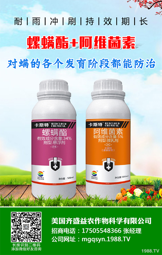 ؐ˹���M���Y���K����3.63�|Ԫ ���ڶ������`�������x���µ�ϵ�Юa(ch��n)Ʒ�Ŀ�Č�ʩ