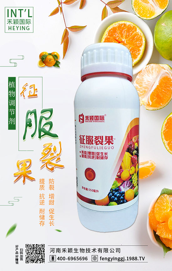 ľ����ʲô�r(sh��)�g�Nֲ��ľ���˷Nֲ������