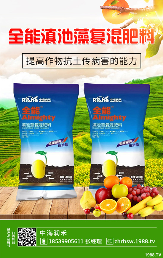 ���r����͸���������Щ�^(q��)�e���ǂ�(g��)Ч��������