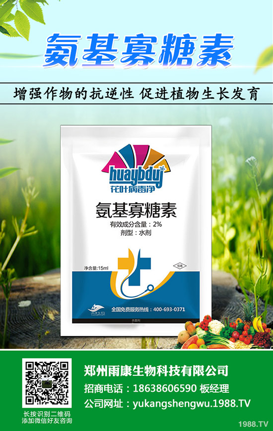 ɳ�ǽ۴ٻ�ԭ����ʲô��ɰ���ٴٻ���ʩ������