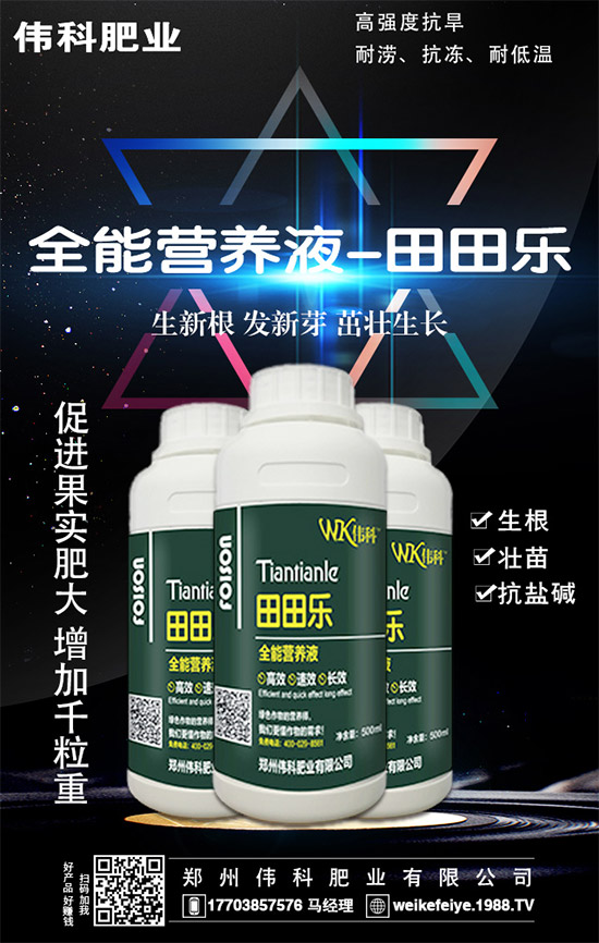     ���ӵĠI(y��ng)�B(y��ng)�r(ji��)ֵ����Щ����Ч�c��������Щ��������Щ��Ⱥʳ����