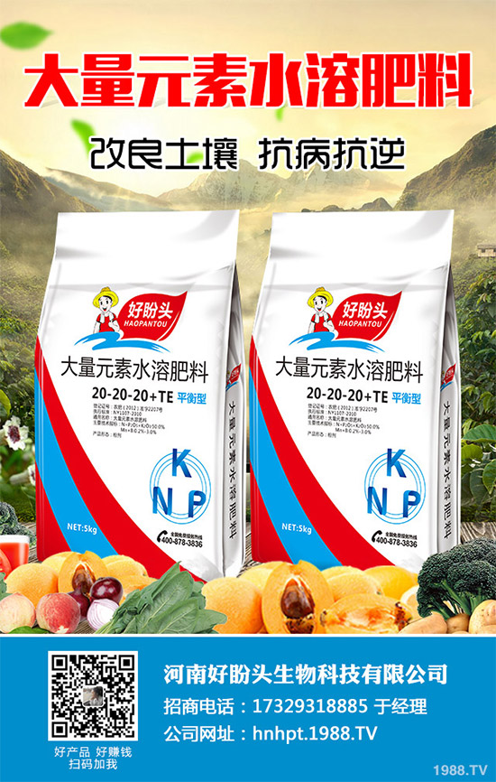 ������֪���Ľ�ɏ���p���ų����w11�N������