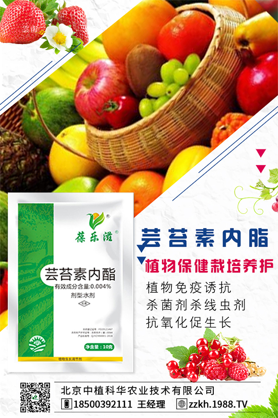 彩椒什么時(shí)間種植？彩椒的高產(chǎn)種植方法！