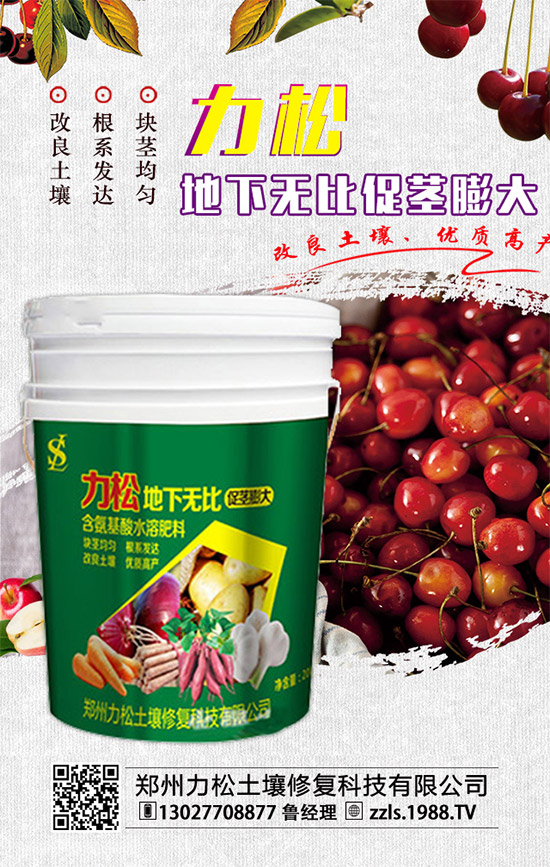     2019-12-4���@�������M(j��n)�������������@�r��������������