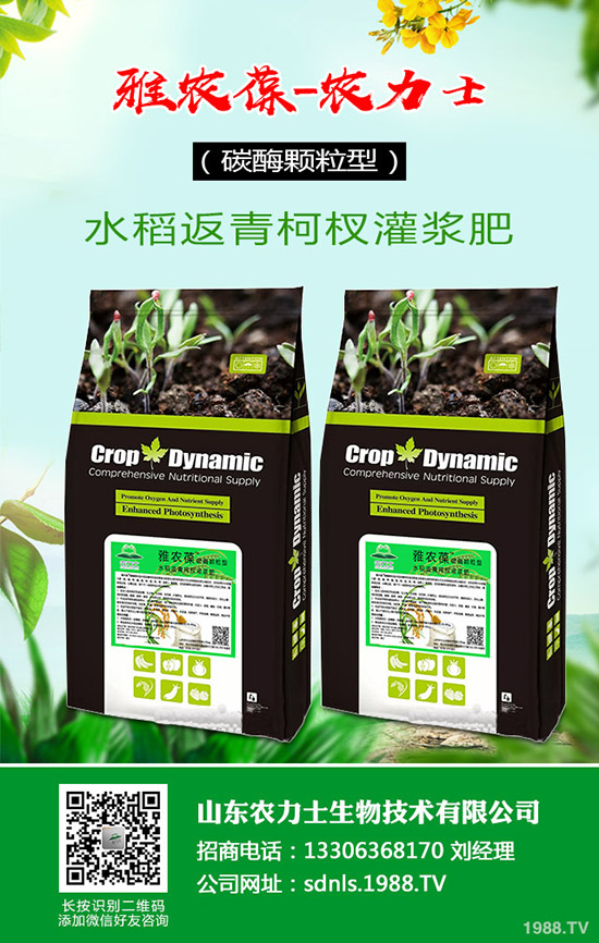     2019-12-4��(f��)�Ϸʈ�r����(w��n)�ɽ��»�����(f��)�Ϸ���������A(y��)�y��