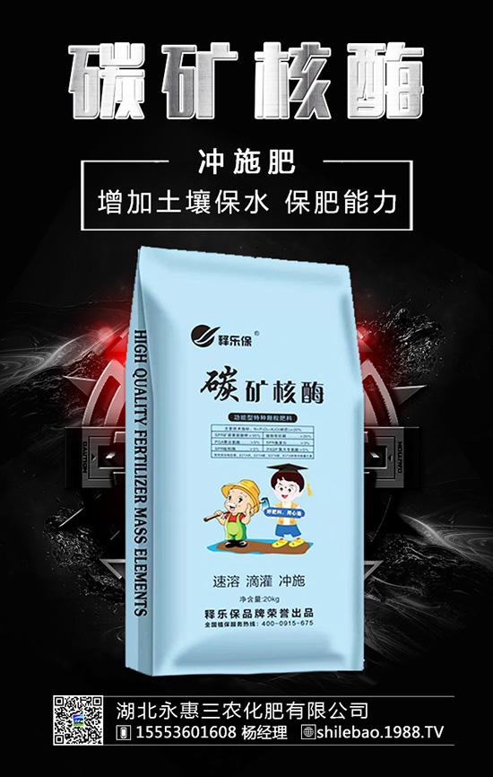 �����롰���������������ʲ����^�L������������