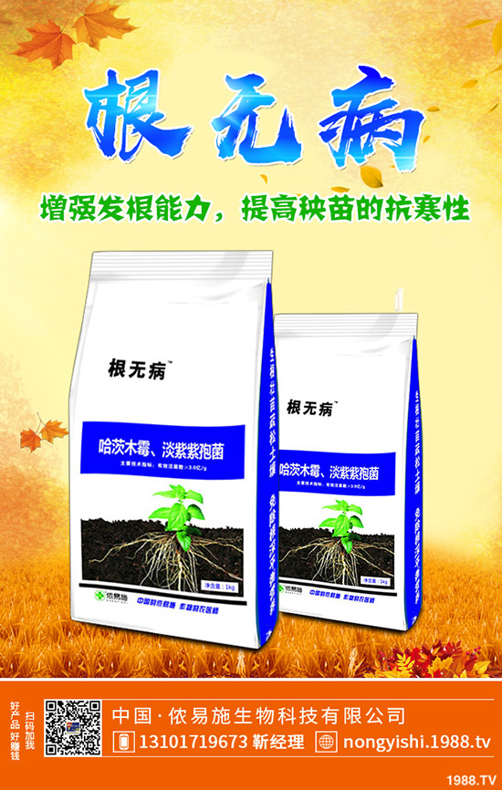 �ڗ��ķNֲҪ�c����Щ���ڗ������g����