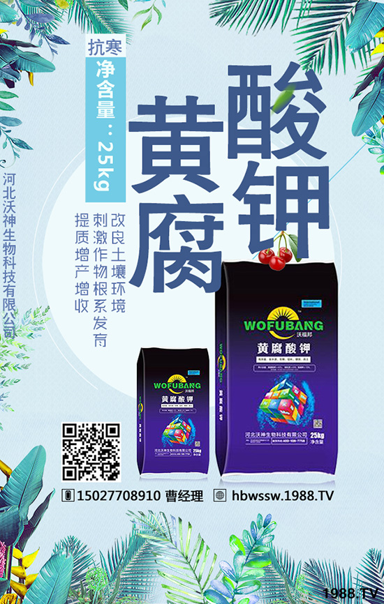 ��������Ч�ı��|(zh��)�چ�����������c�M�������a(ch��n)����