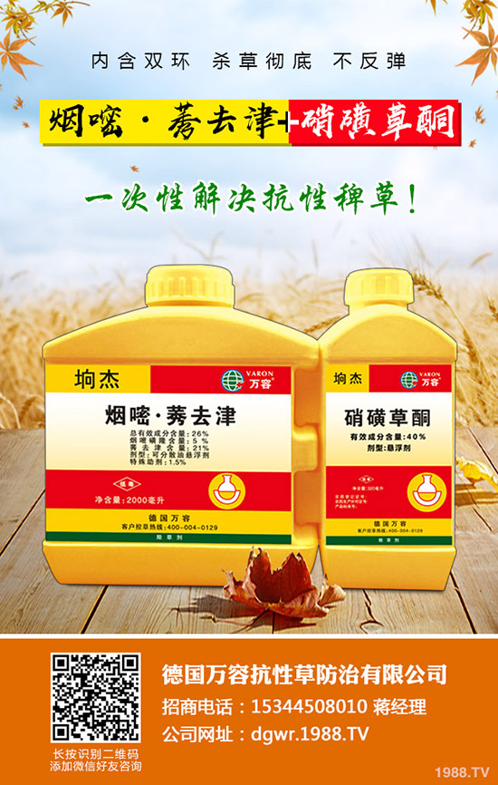 ������Nֲ�ļ���(ji��)�����Ӹ߮a(ch��n)�NֲҪ�c��