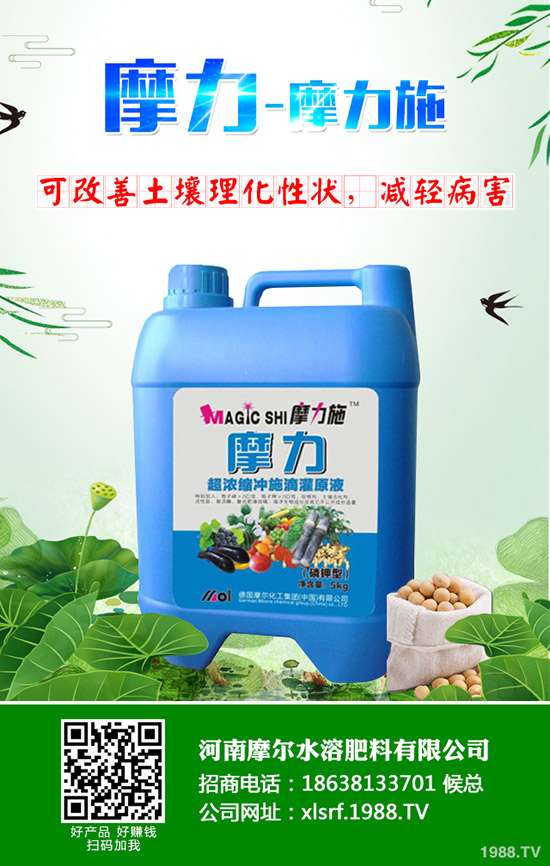 �����ʲô���Ϻ������ʩ�ʼ��g(sh��)����Щ��