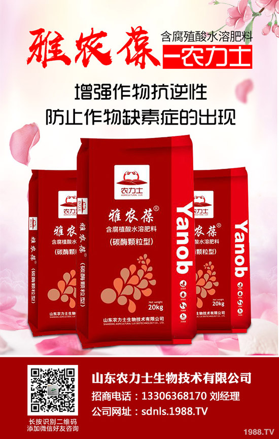     2019-12-9һ�@�Ј���Ͷ���m(x��)�������r�����ݾS��(w��n)��