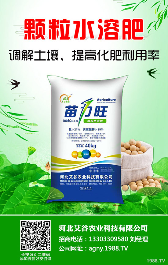 ���Ĳ�����ʩ�ʮa(ch��n)���������Ĳ�ʩ�ʼ�������Щ��