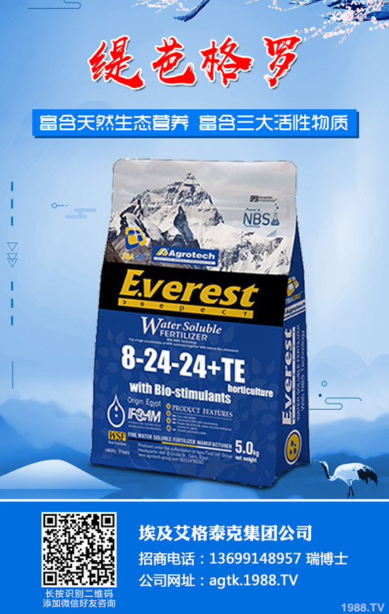 ����ʲô�r(sh��)�g�������������緽��