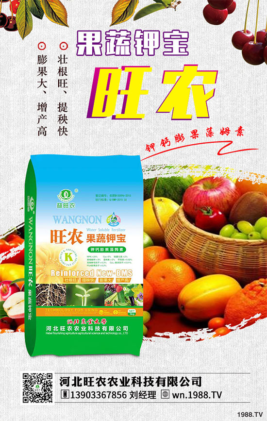 2019��8��26�ս������؃r�������Ո�����������I(y��)���S�����rһ�[