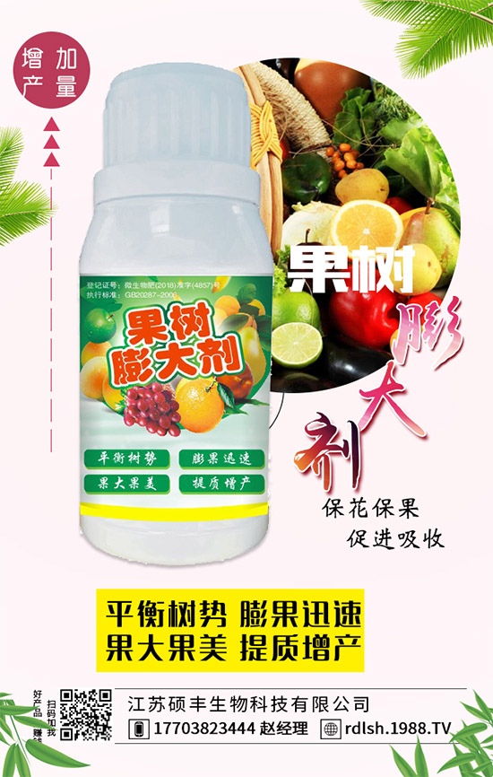 ��ľ���Ĺ�Ч�c��������ľ�����ʳ��������Щ��