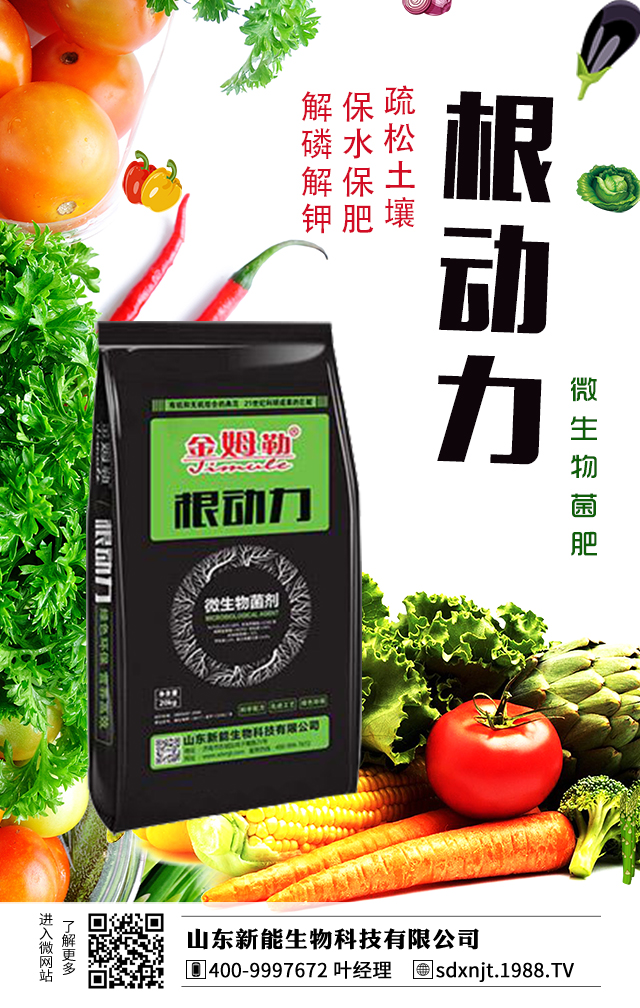 �R��������������νo�R���ʩ�ʣ�