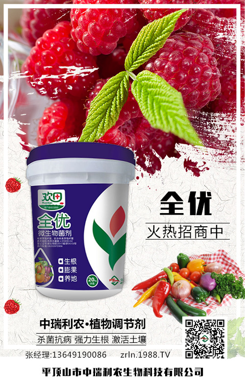 �N�������м���������⛷ʲ�������