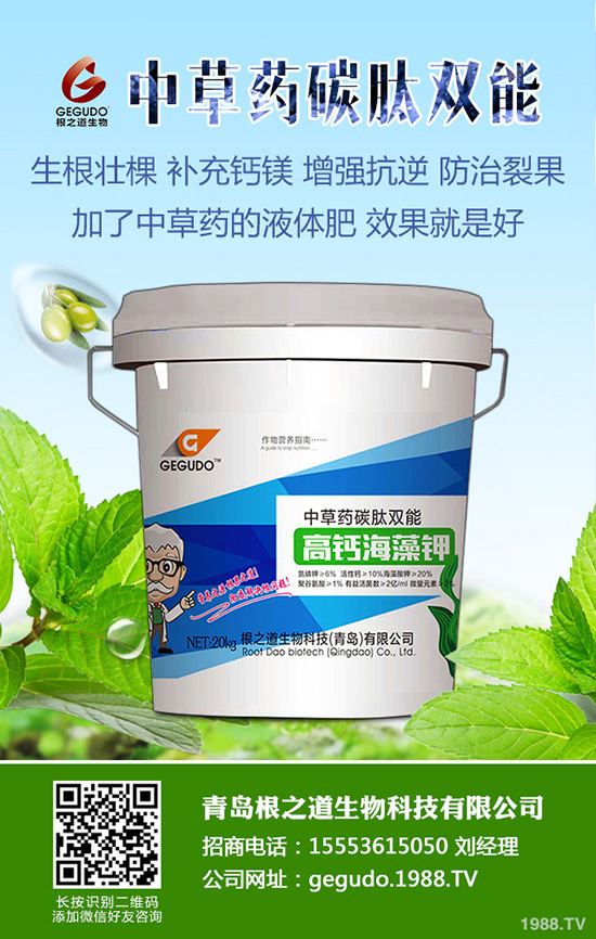 2019-8-28��(f��)�Ϸʃr(ji��)���Ј�(ch��ng)������?q��ng)?b��o)