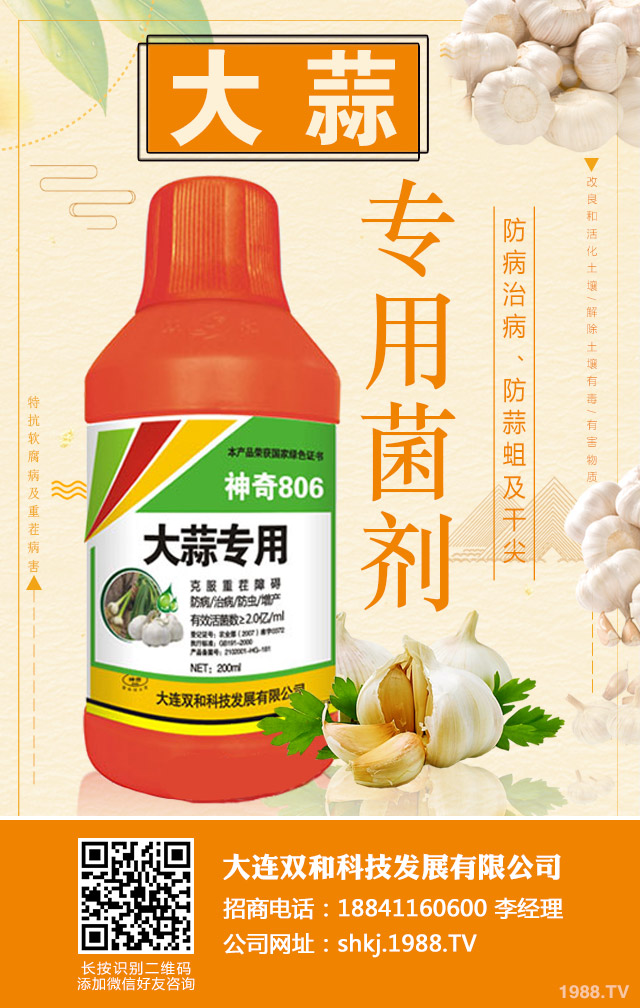 ��������ʲôԭ�t���������������ΰ�ԭ�t