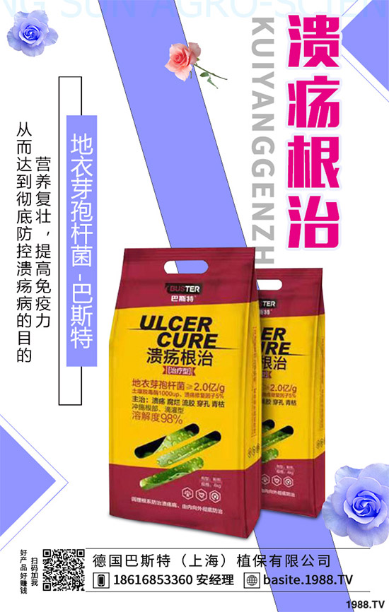 ������һ���Ǽ����Բ��������e���e����Ƚ���������������ɷ����Ν�������