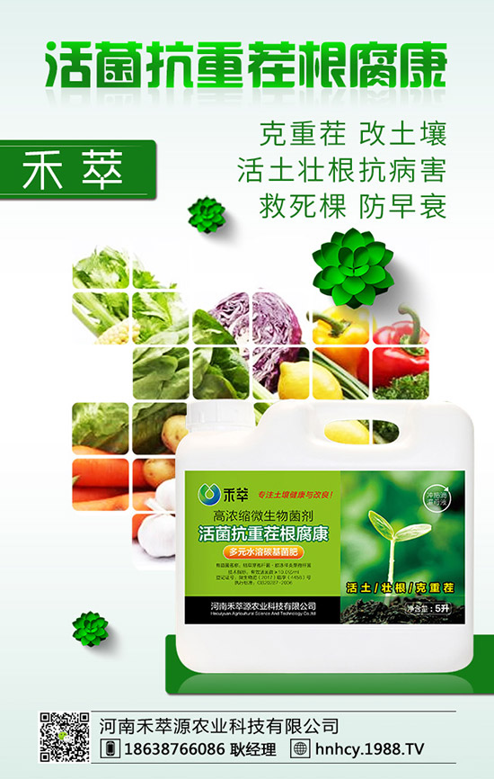 ����÷��ô�޽�������÷�޽ӷ�����