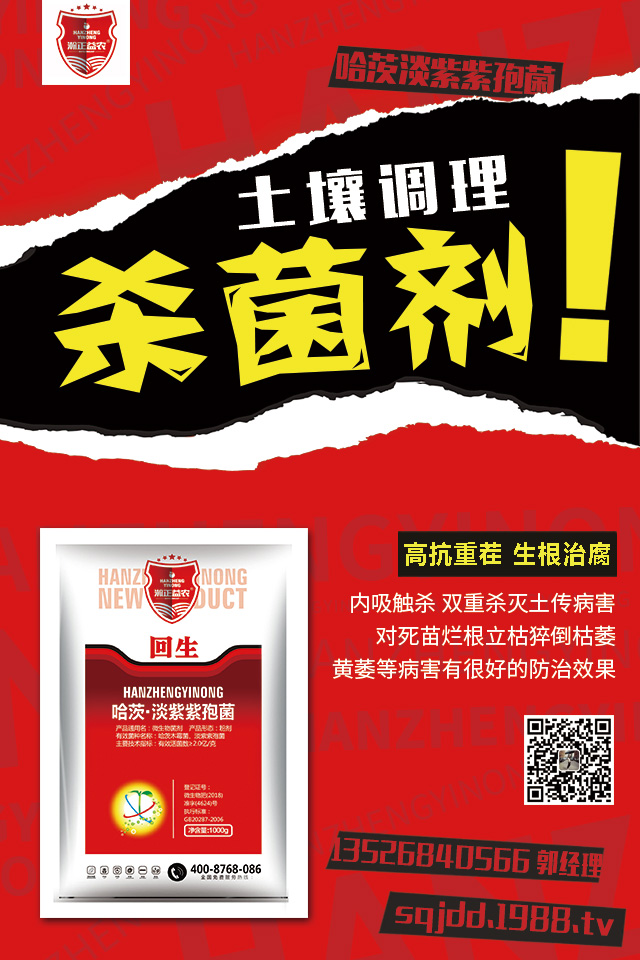 ��������������ô�k�����Ӽ޽ӿɱ�����������