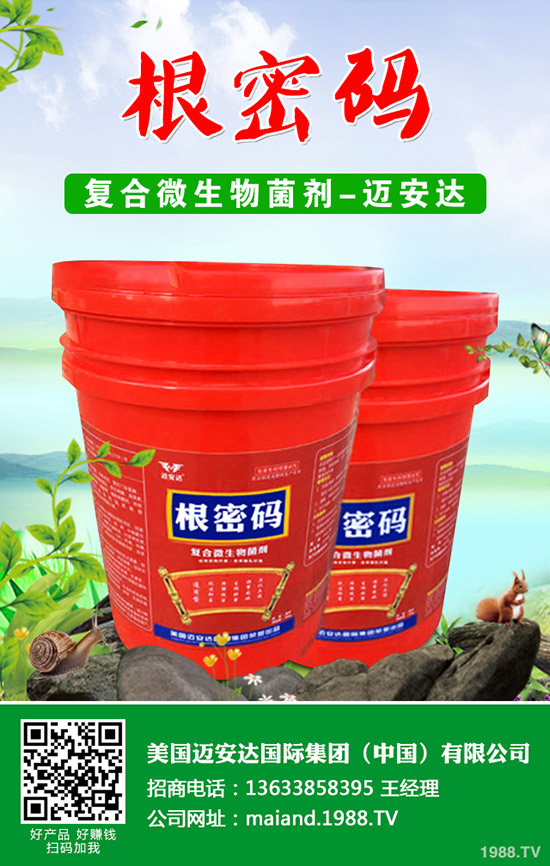 �����Jʲô�r(sh��)��Nֲ�������J�Nֲ���g(sh��)��