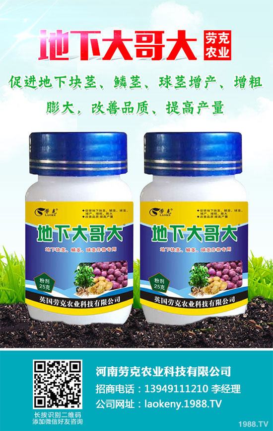 �������Щ�I�B(y��ng)�r(ji��)ֵ���Խ������Щ��̎����˵Ĺ�Ч�c����