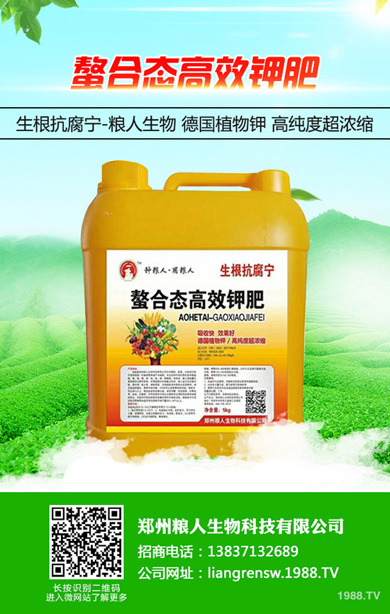 ���y�����ʩ�������y���߮a(ch��n)ʩ��Ҫ�c(di��n)��