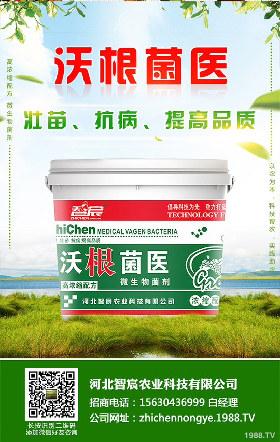 �Ծ��Ĳ�����Щ��̎�����Ĳ˵Ĺ�Ч�����ã�