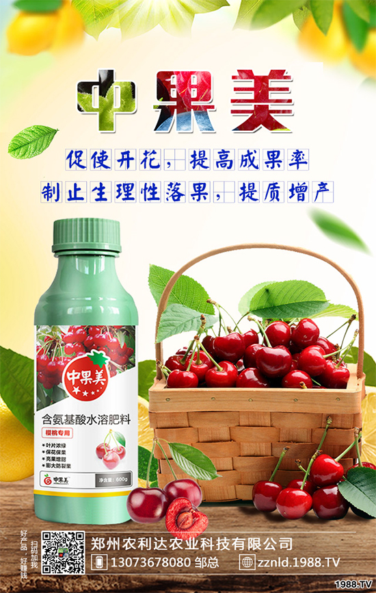 ��ʲô�r(sh��)��N�Nֲ���𽷷NֲҪ�c(di��n)��